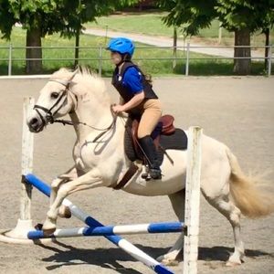 Meet your Posher, Erik